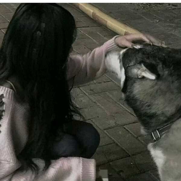 手捧玫瑰等雨停.