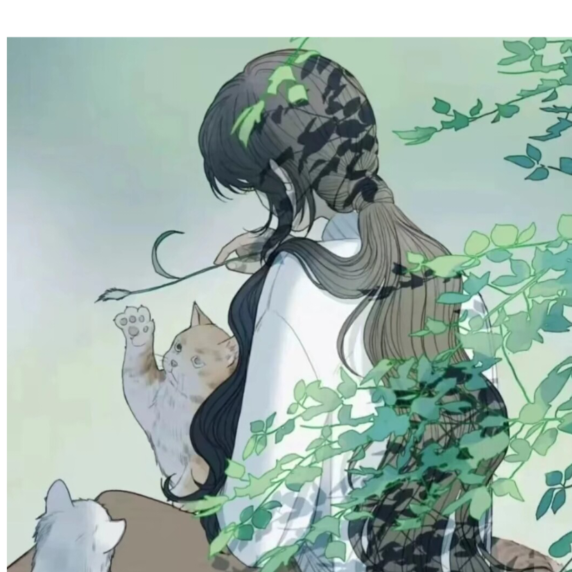 阿涟.