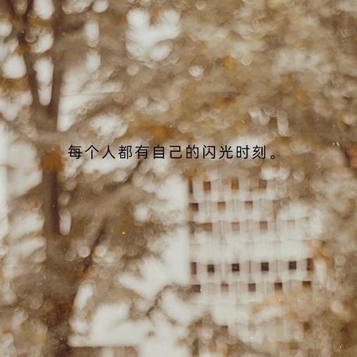 陶庵庵