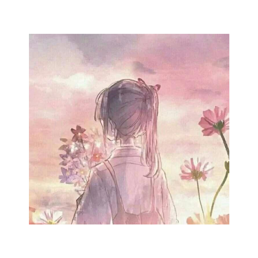满天星y