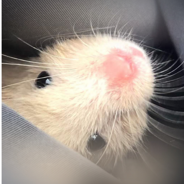 ¹⁰ˉ⁰⁹＿讨厌冷暴力