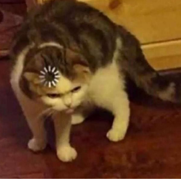 活人