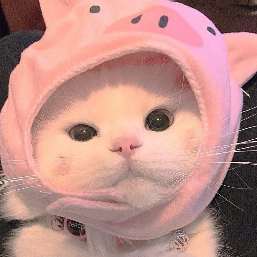 村里的花花