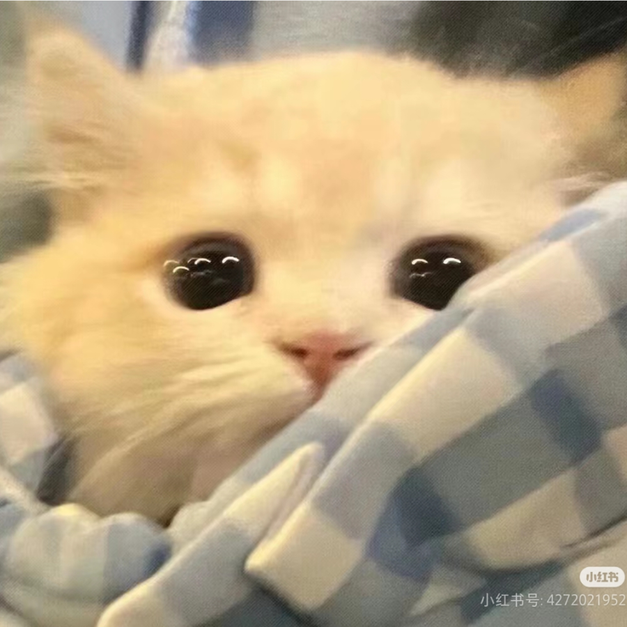 小桃不早睡