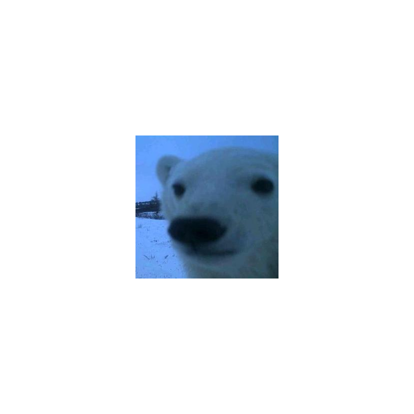 无聊的男孩