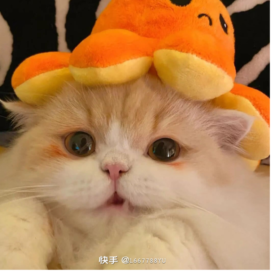 只是一场梦