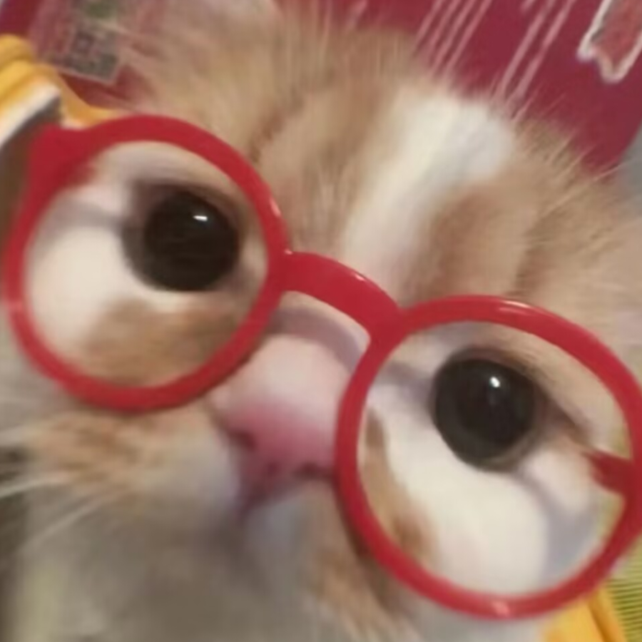 弃木