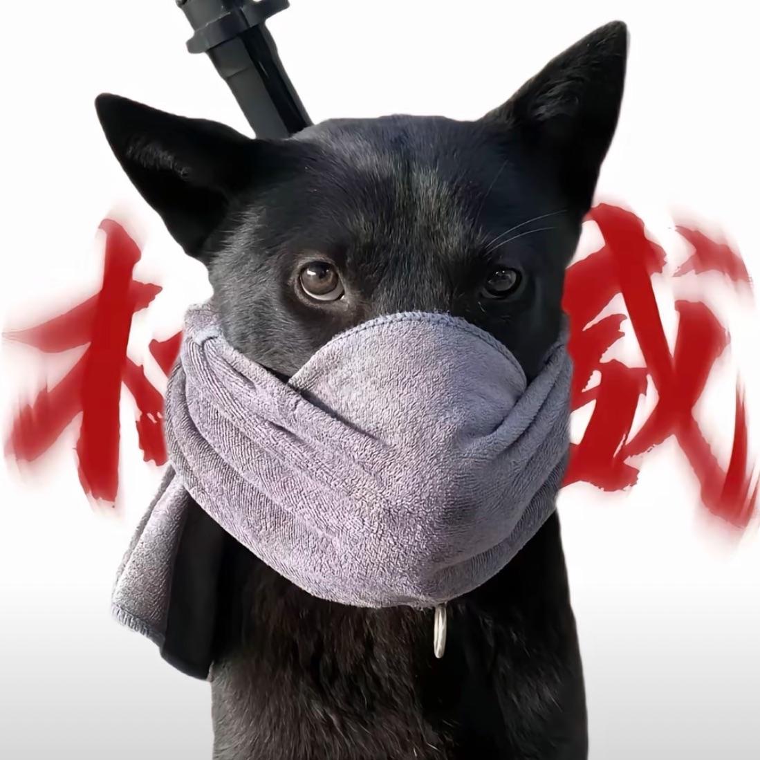 啊信AREAN