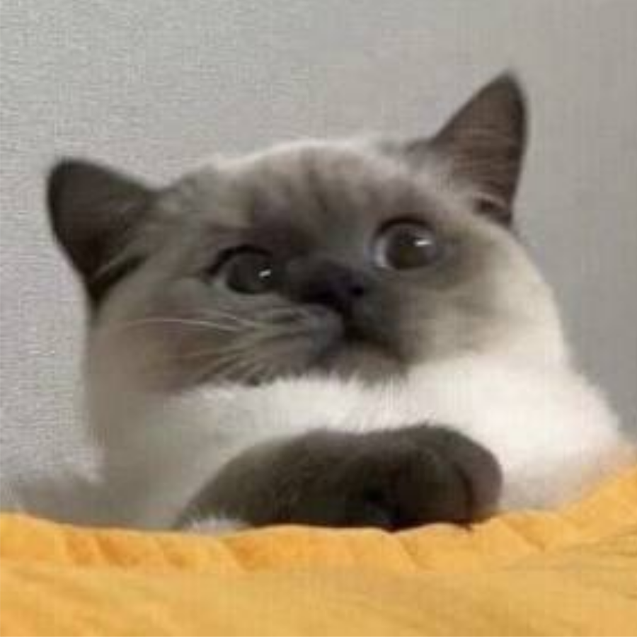 杏