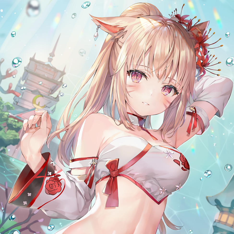 小白狐
