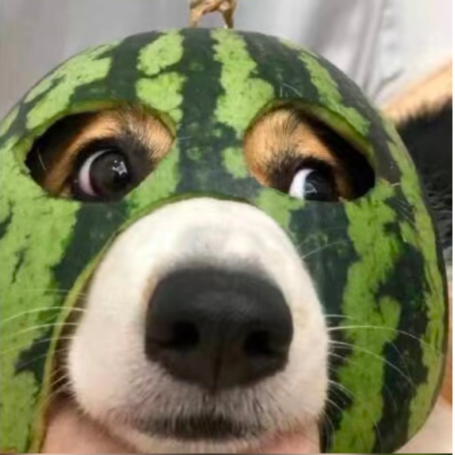 FY.浩