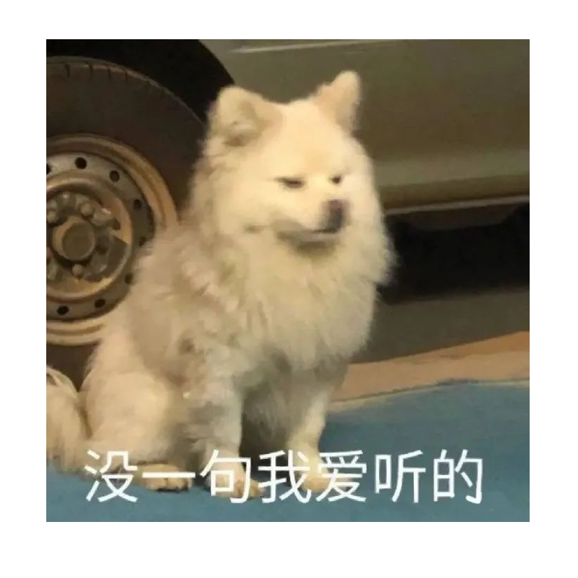 谢杨桥