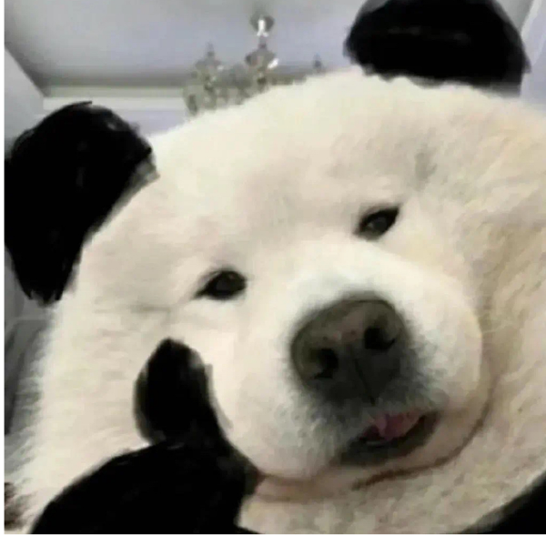 瞅瞅吧