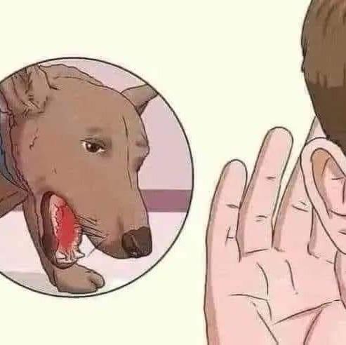 王王王王王
