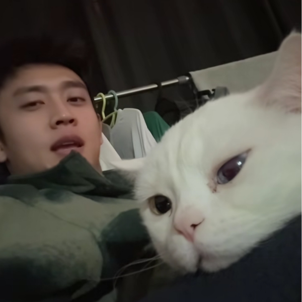 甜橙🍊