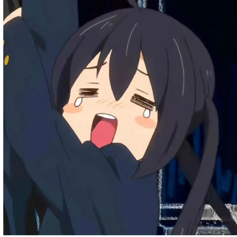 诖佳