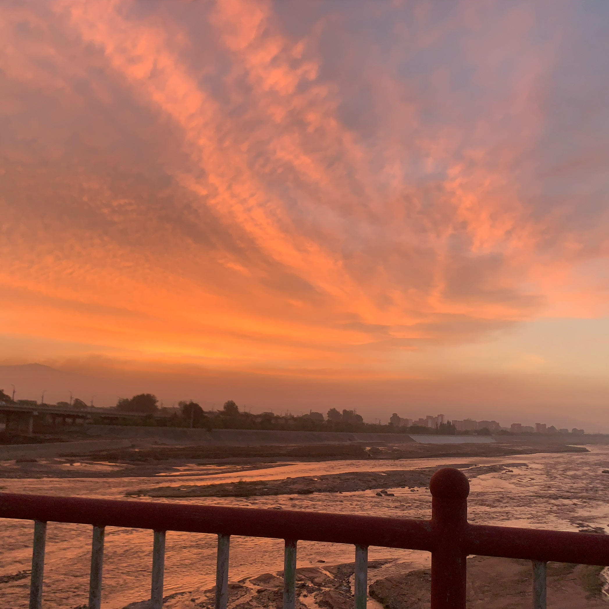 笑到模糊的旅行者