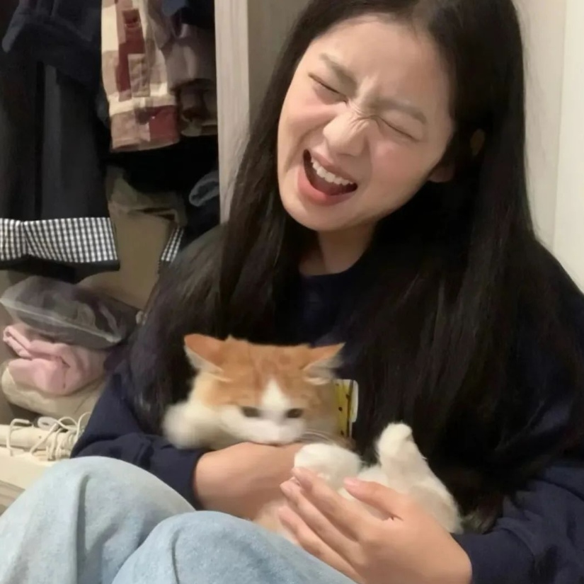 小鱼