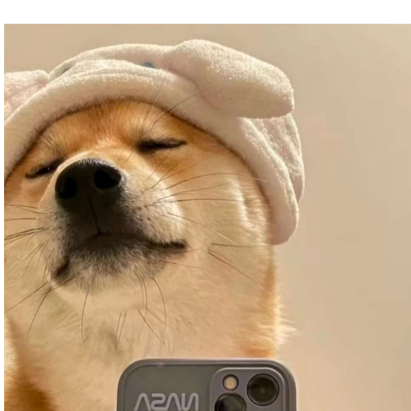 凤囚凰