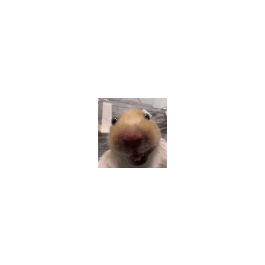 欧耶