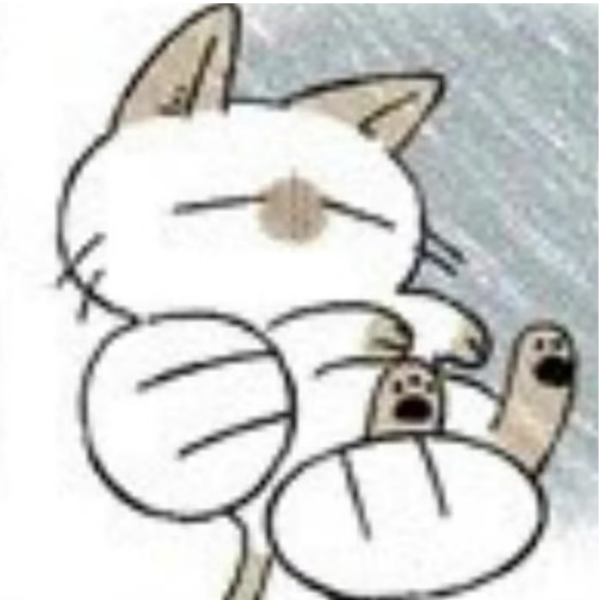 池