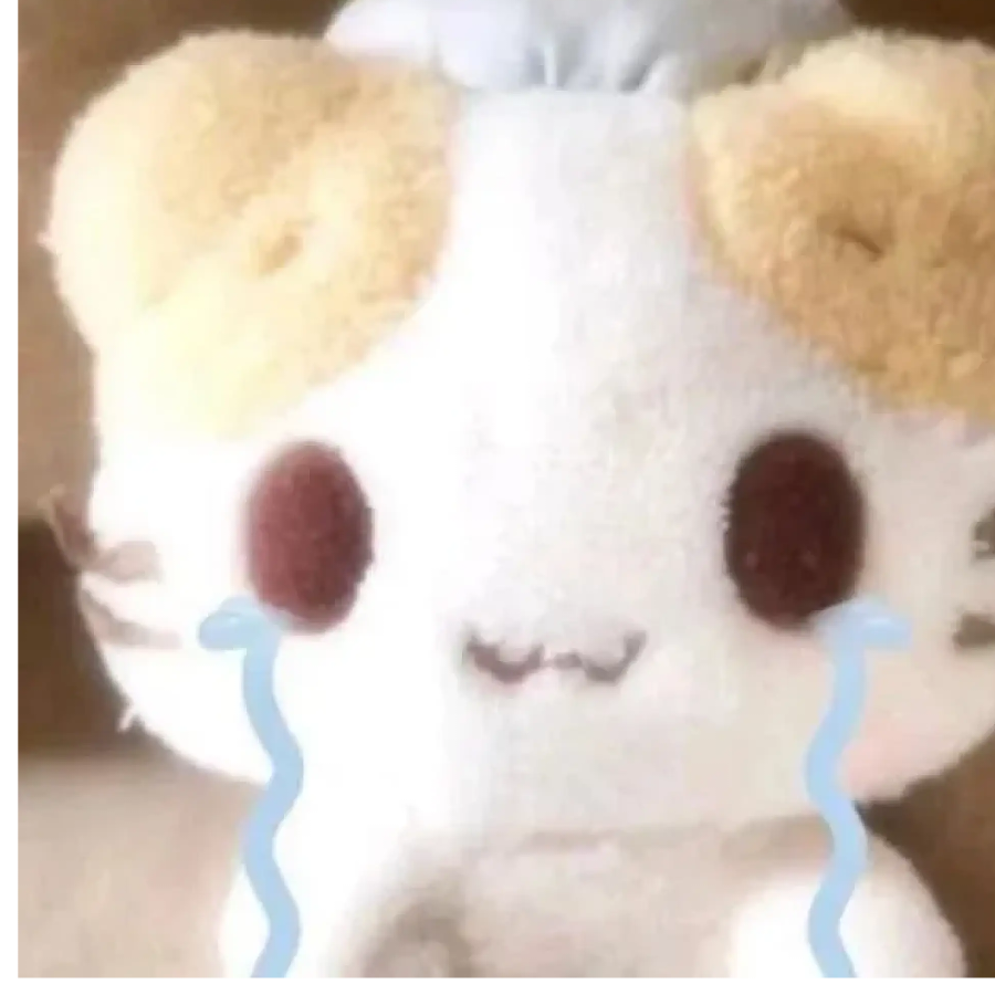 汤被喝完了