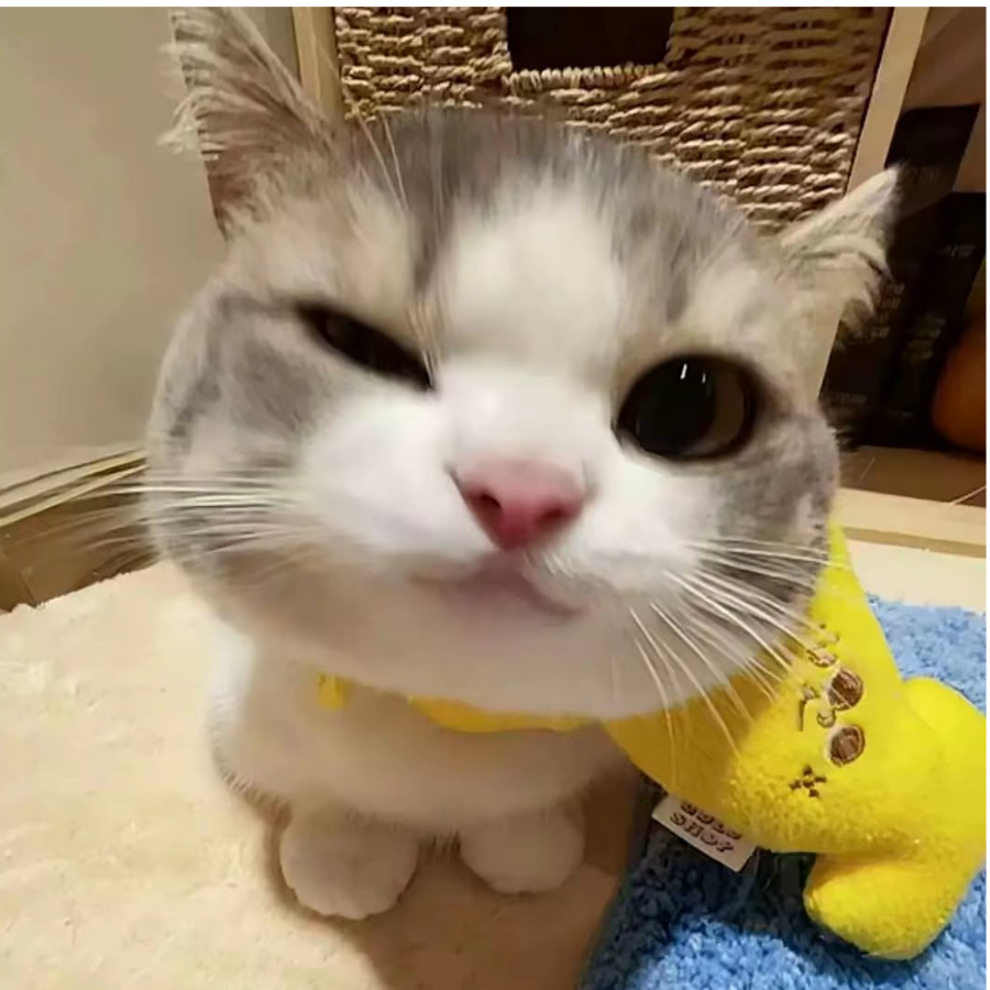 战无不胜
