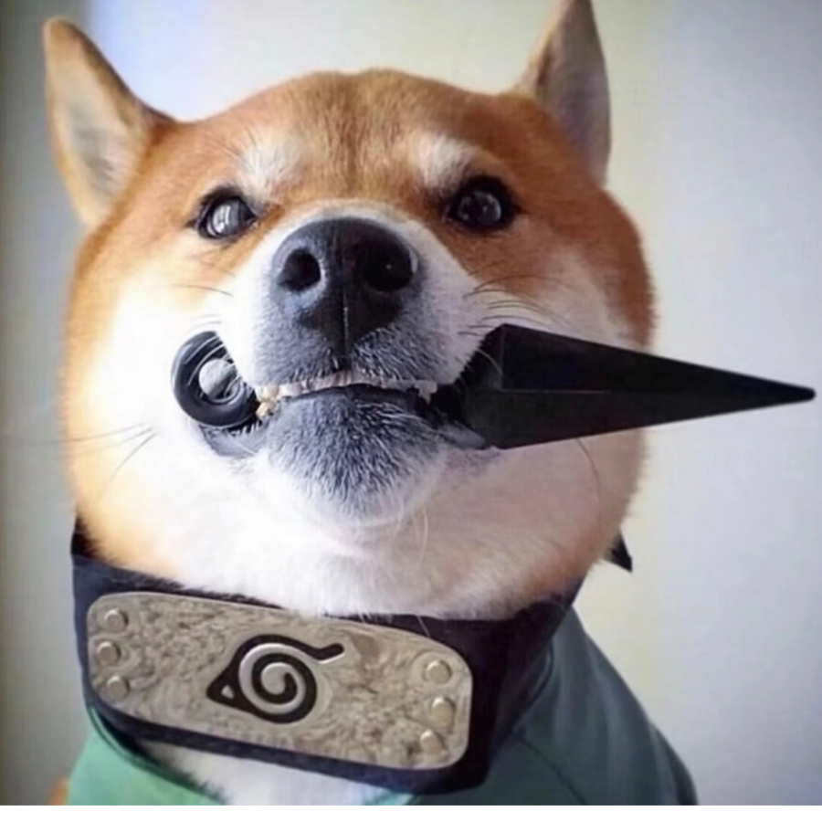 闲客.