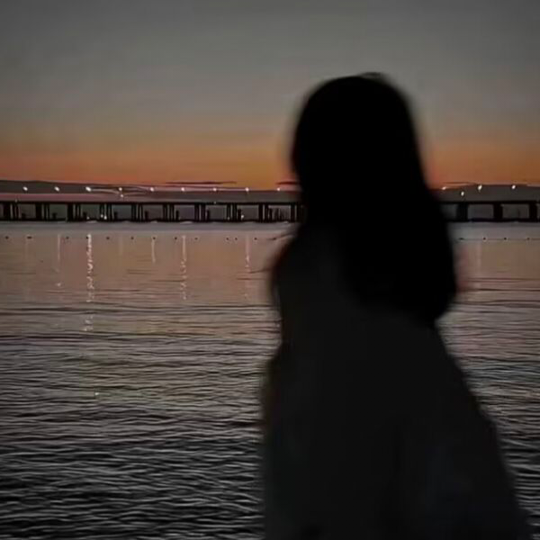 柠檬茴香