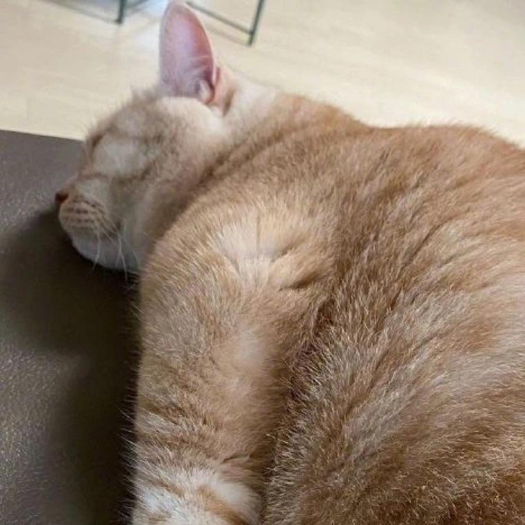  