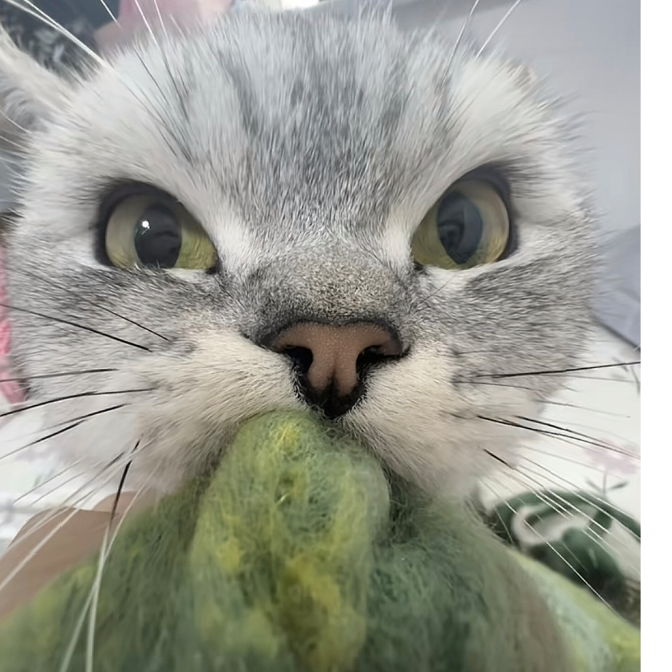 瑞航