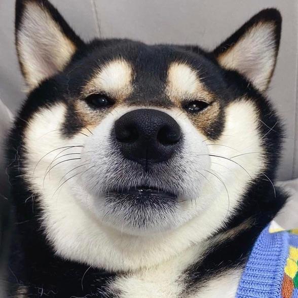 uri