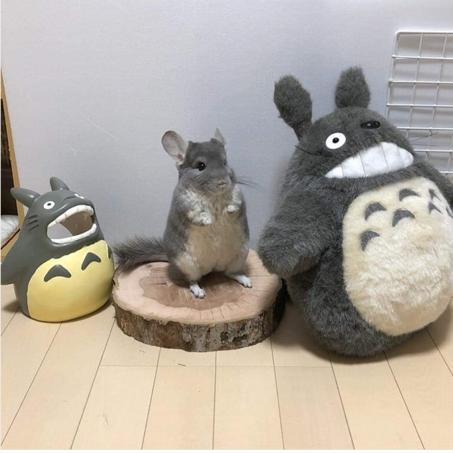 鱼虾肉丸
