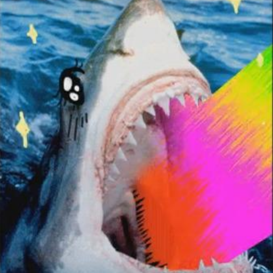 🌈彩虹Shark 