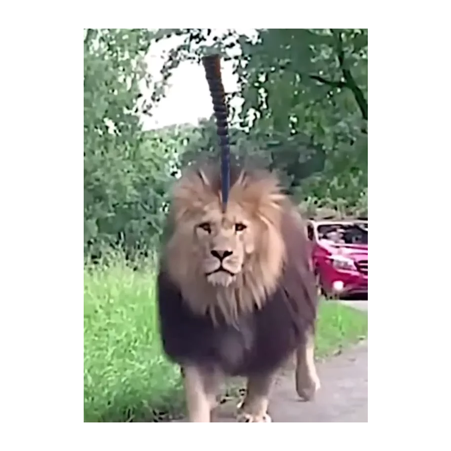 不科学
