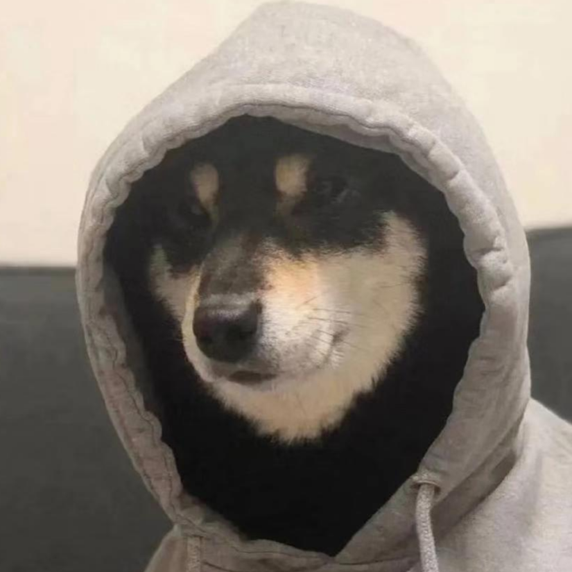 拾柒