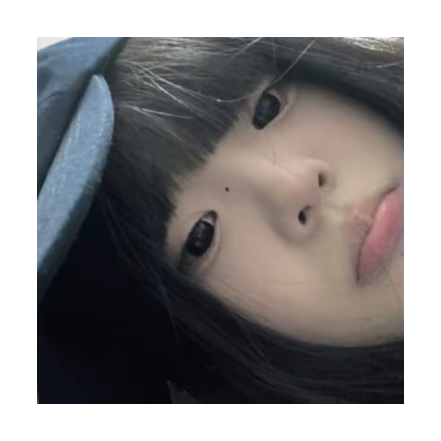 珊总