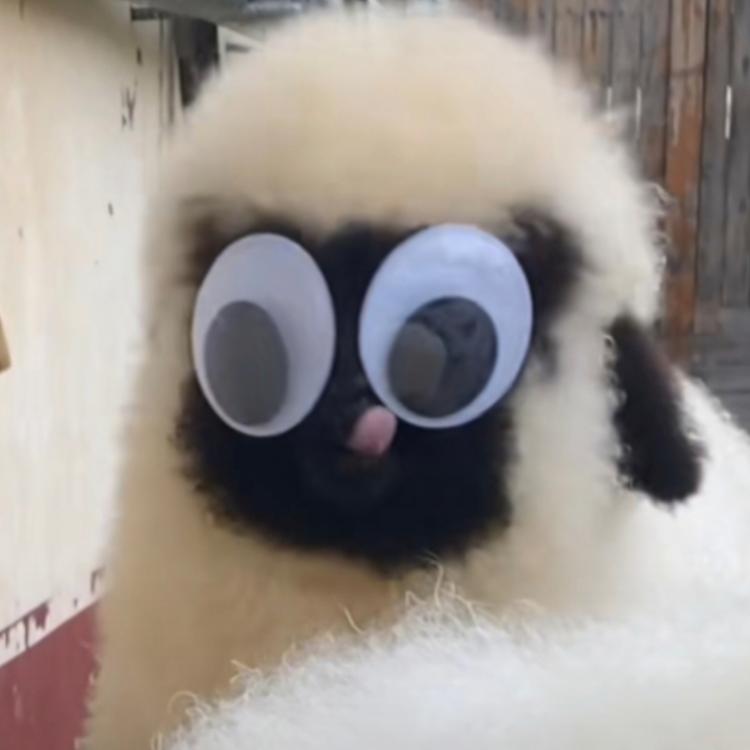 未来