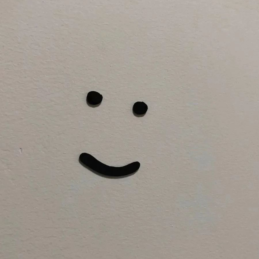 一只鲨鱼