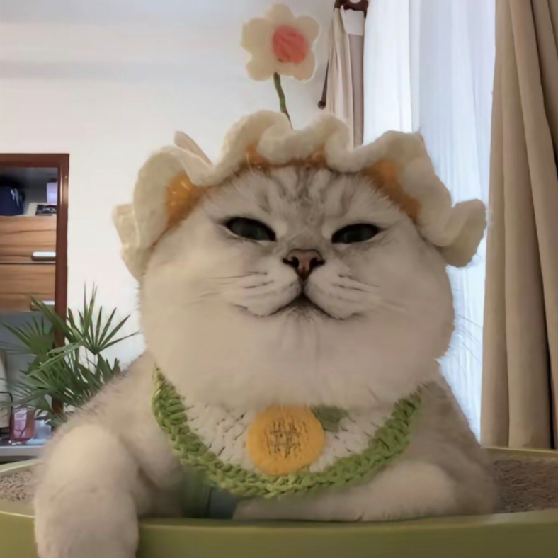 。