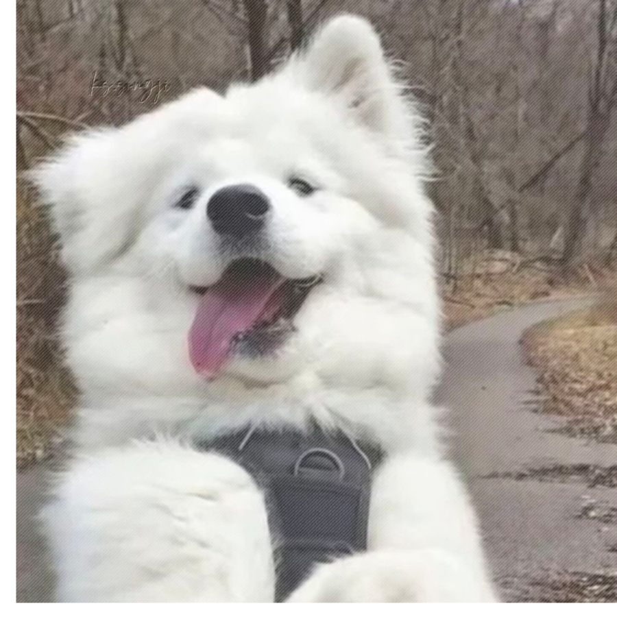 快乐修勾