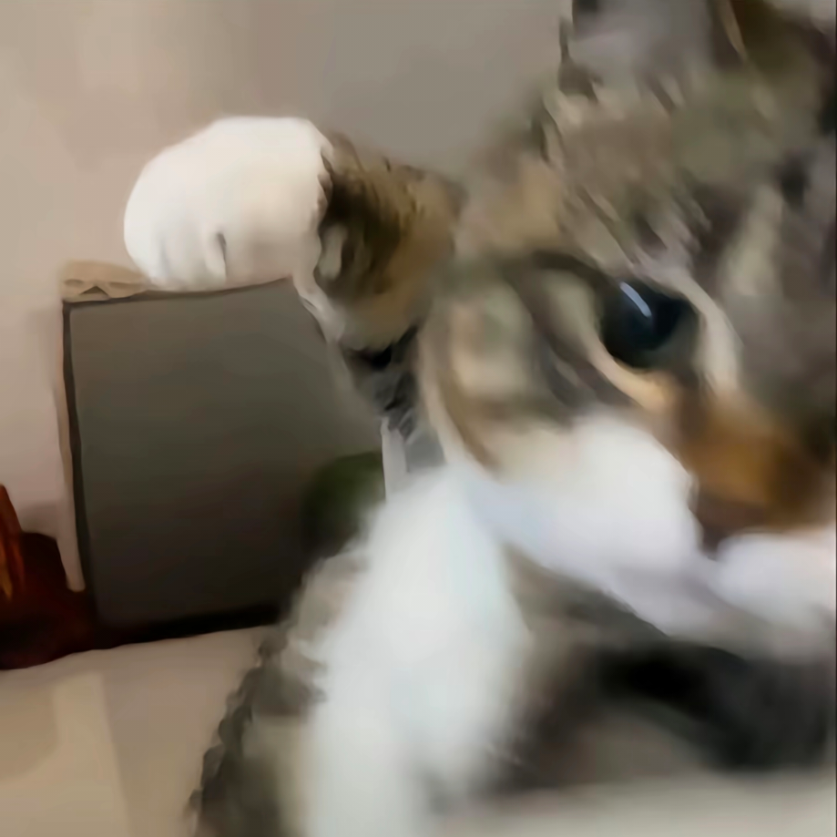 玩游戏只看老婆