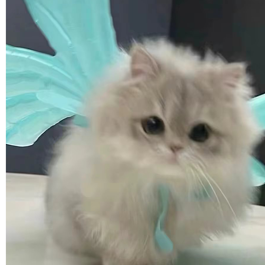苏