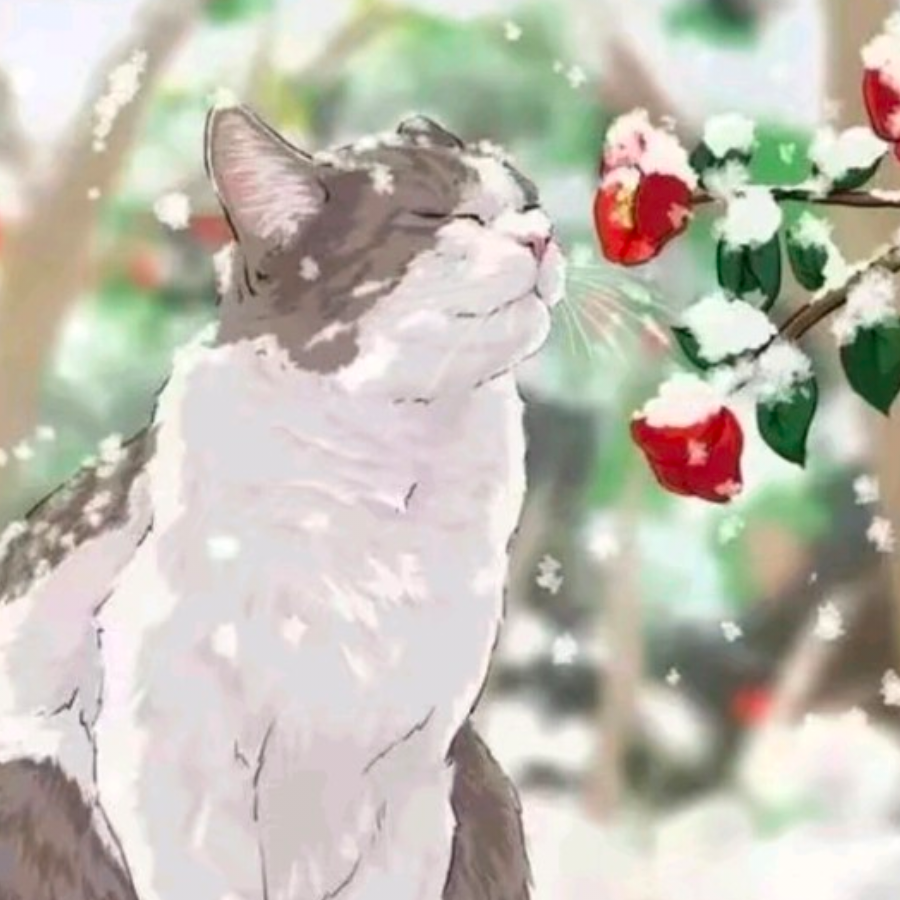 赊月色