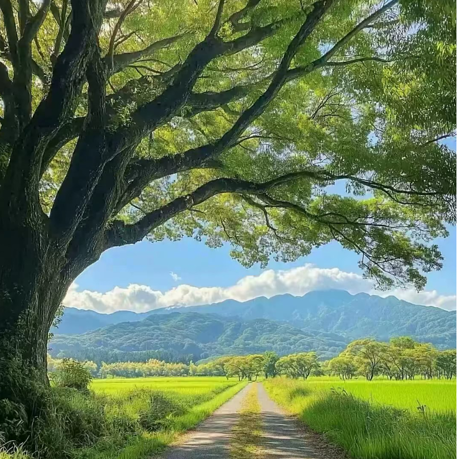 小凳子