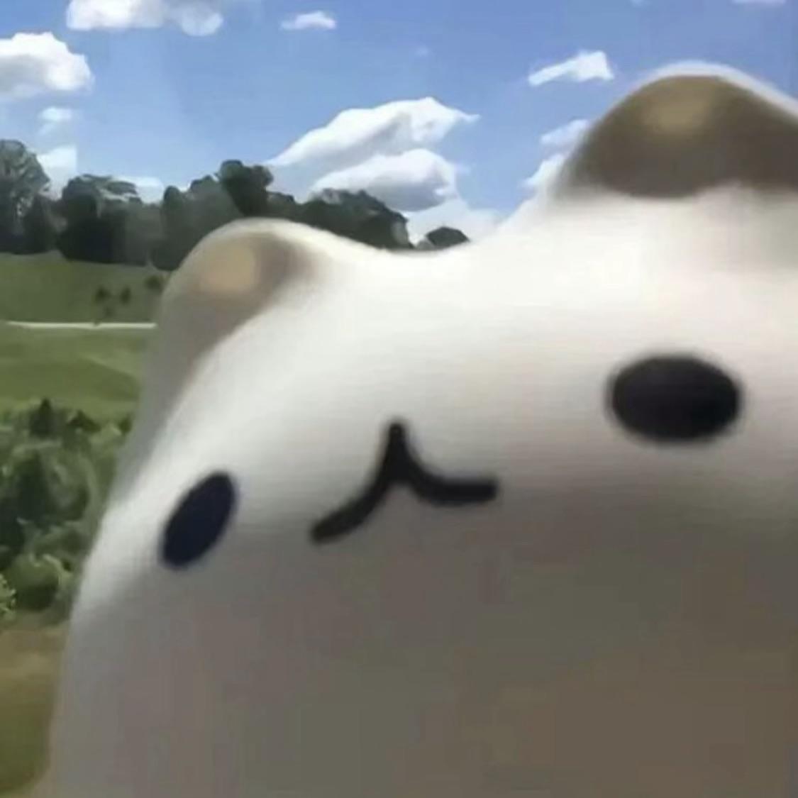 半口云