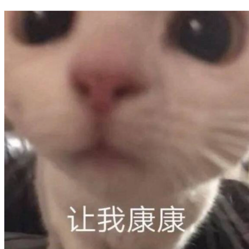 叮当猫