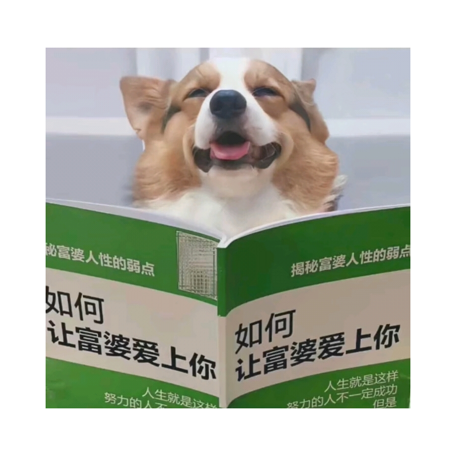 杰尼龟