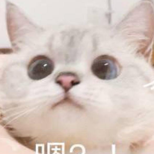 今天一定早睡