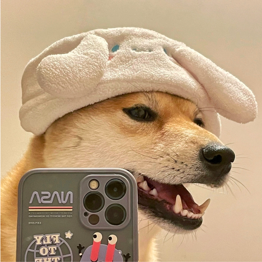 樱花树下的二狗子